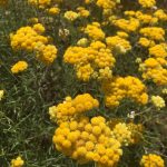 IMG_2490_Easy-Resize.com