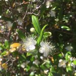 IMG_2781_Easy-Resize.com